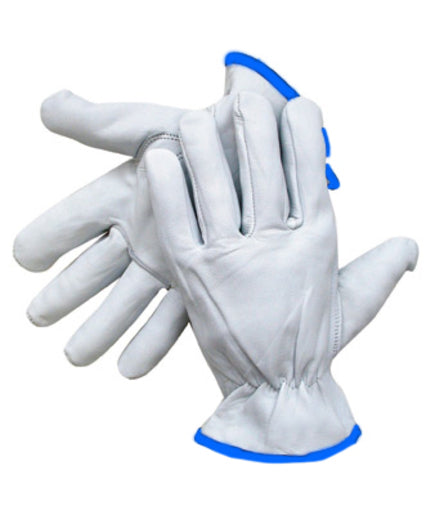 Radnor¬Æ X-Large Grain Goatskin Unlined Drivers Gloves With Straight Thumb, Slip-On Cuff, Blue Hem And Shirred Elastic Back
