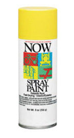 Krylon® Products Group 9 Ounce Aerosol Can Gray Krylon® Now® Enamel Spray Paint